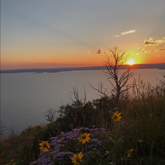 Meet your Posher, Brooke - Picture 1 of 1